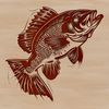 Crappie Vector Graphic Design A small to medium-sized freshwater fish with yellow or greenish-yellow body and white belly.