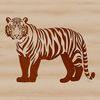 Standing Tiger Graphic A detailed illustration of a standing tiger, showcasing its distinctive stripes and features.