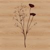 Wild Bloom Vector Graphic A realistic illustration of a wild flower in bloom, suitable for digital design and crafting projects.