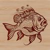 Freshwater Fish Species SVG Design A detailed illustration of a freshwater fish species known as the Crappie.