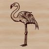 A single flamingo standing in a shallow water body with its long neck and legs visible.