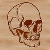 Witchy Skull Icon Illustrated skull icon in a witchcraft theme, suitable for vector designs and cutting machine projects.