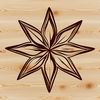 A stylized star icon designed as a vector graphic.
