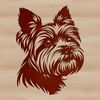 An illustration of a Yorkshire Terrier's head, suitable for use in various designs such as vector art or stencils.