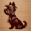 A vector illustration of a small sitting Yorkshire terrier dog.