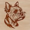 Yorkie Portrait Silhouette A small breed dog with a long, fine coat and large eyes.