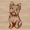 A small breed dog sitting on its hind legs, recognizable as a Yorkshire Terrier.