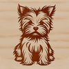 A small sitting dog with a distinctive coat pattern, commonly referred to as a Yorkshire terrier breed.