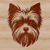 A small breed dog with a long, silky coat and a big personality.