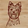 Small but MIGHTY Yorkshire Terrier Portrait A portrait of a small Yorkshire Terrier with a distinctive head shape.