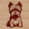 A small breed dog with a distinctive coat pattern, sitting on its haunches, suitable for clipping or cutting out.