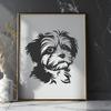 Stunning Havanese In SVG, PNG, PDF And DXF File Formats - Free