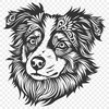 Free Australian Shepherd In PNG For Free Download