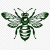 Beautiful Insect Vector Drawing - Free PDF Download