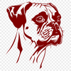 Beautiful Boxer Vector Drawing In DXF For Free Download