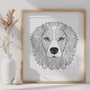 Unique Australian Shepherd Vector Drawing