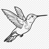 Flying Hummingbird Vector Illustration