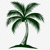 Palm Tree PDF For Download - Free Commercial Use License