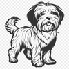 Standing Havanese Clipart - Free PNG