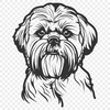 Free Beautiful Shih Tzu Digital Art