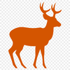 Stunning Deer Printable Image