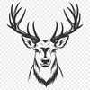 Stunning Deer Drawing