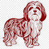 Havanese Drawing In SVG, PNG, PDF And DXF File Formats