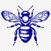 Stunning Insect In SVG, PNG, PDF And DXF File Formats - Free