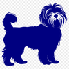 Beautiful Havanese PDFs - Free Download