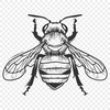 Beautiful Bee Digital Artwork