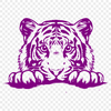 Tiger Illustration In PNG File Format For Free Download