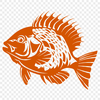 Crappie Artwork In PNG & SVG - Free Digital Download