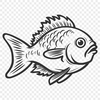 Creative Fish Vector Image