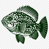 Free Creative Fish Clip Art