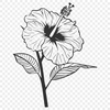 Hibiscus Artwork In PNG & SVG - Free Digital Download