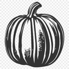 Free Unique Squash Artwork PNG - Commercial Use