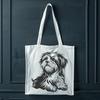 Free Sitting Havanese Vector Illustration