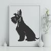 Stunning Miniature Schnauzer - Pet PDF