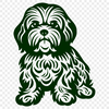 Beautiful Sitting Havanese Vector Image