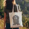 Stunning Havanese In SVG - For Free Download, Commercial Use