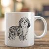 Standing Havanese Drawing