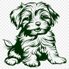 Stunning Sitting Havanese Stencil