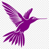 Creative Hummingbird In SVG & PNG