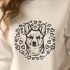 Beautiful Welsh Corgi - For Pet Project