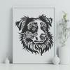 Beautiful Australian Shepherd - Glowforge SVG