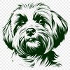 Stunning Havanese Design In PDF For Free Download