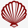 Seashell Drawing In PNG & SVG - Free Digital Download