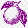 Fruit In SVGs - Free Commercial Use License