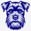 Free Miniature Schnauzer Drawing