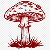 Creative Mushroom PDF